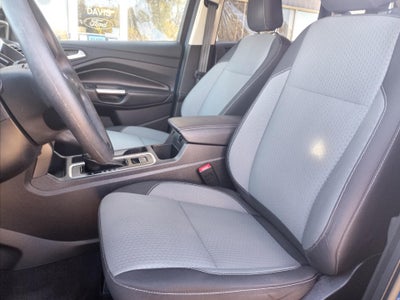 2019 Ford Escape SE FWD