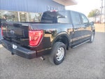 2021 Ford F-150 XL 4WD SuperCrew 5.5' Box